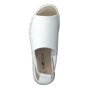 5060-01 White