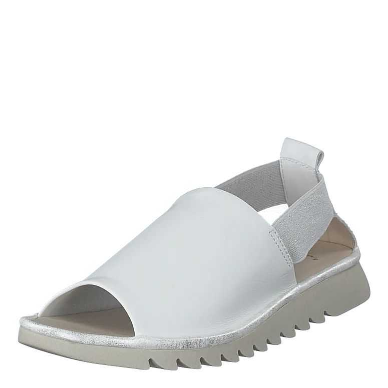 5060-01 White